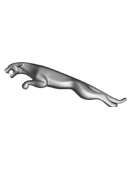 Jaguar.gif