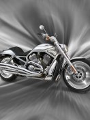 Gray_Harley.jpg