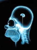 homer_sapiens.jpg
