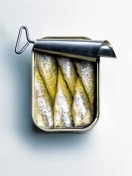 Sardinen.jpg