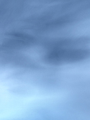 got_blued.jpg