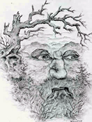 illusion3.jpg