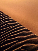 Desert.jpg