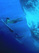 Surfin.jpg