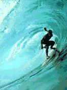 Surfing.jpg