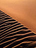 Desert.jpg