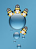 Bubbles.jpg