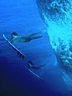 Surfin.jpg
