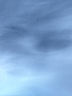 got_blued.jpg