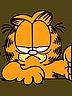 Garfield2.jpg