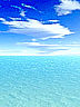 1320044.jpg