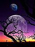 Moon.jpg